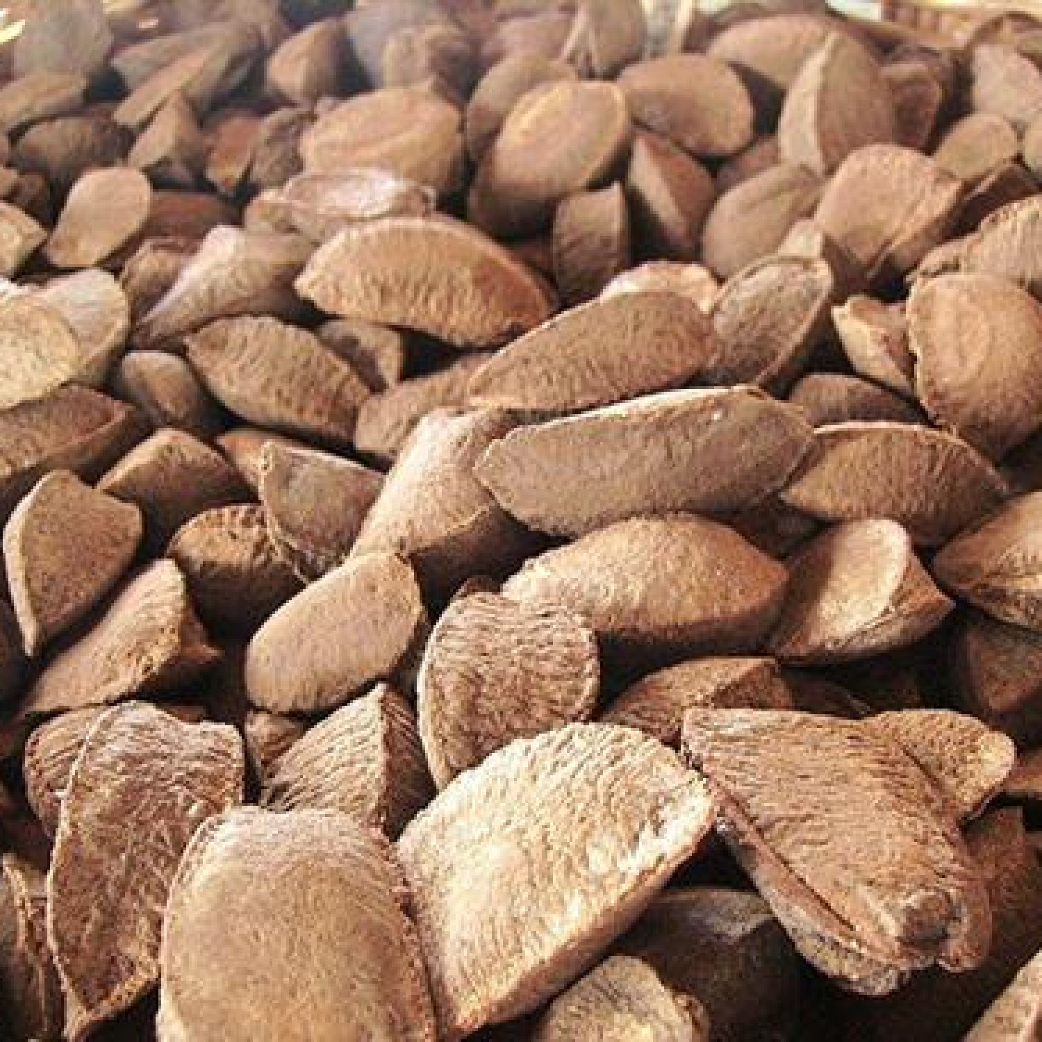 Castaña (Brazil nut)-Raw